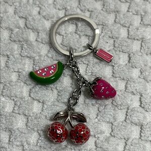 Coach Multi Fruit Strawberry Watermelon Cherries Charm Keychain Key Fob